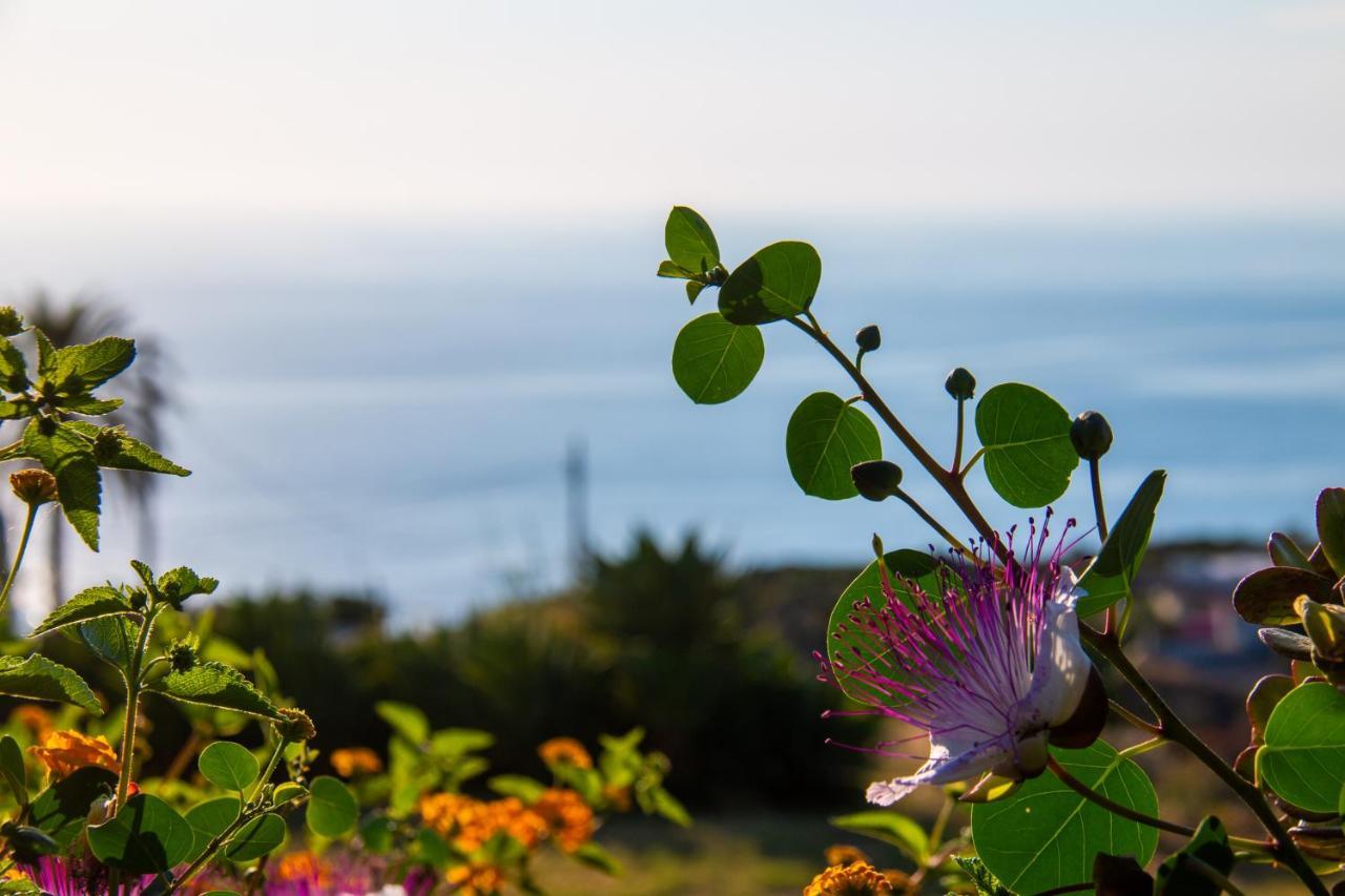 Agriturismo Al Cappero Malfa  Eksteriør bilde