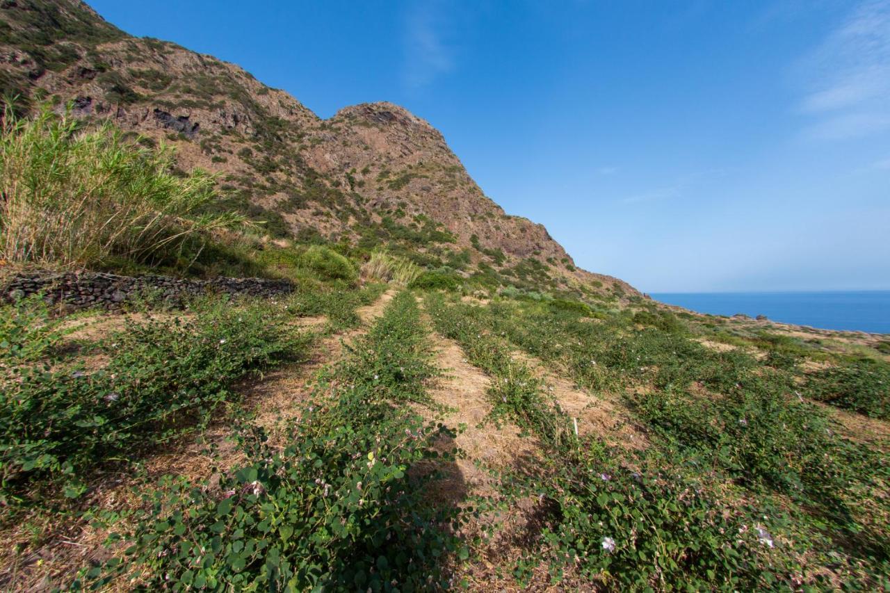 Agriturismo Al Cappero Malfa  Eksteriør bilde